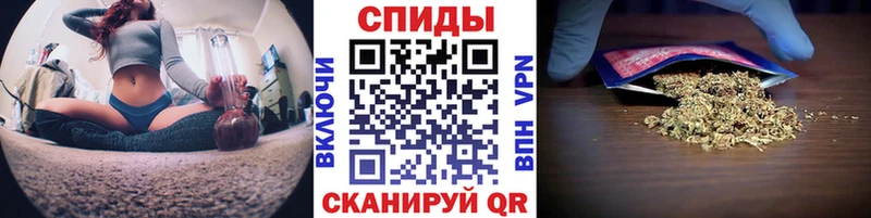 БУТИРАТ буратино  Горно-Алтайск 