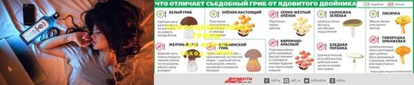 скорость mdpv Баксан