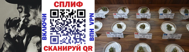 Бошки марихуана THC 21%  Горно-Алтайск 
